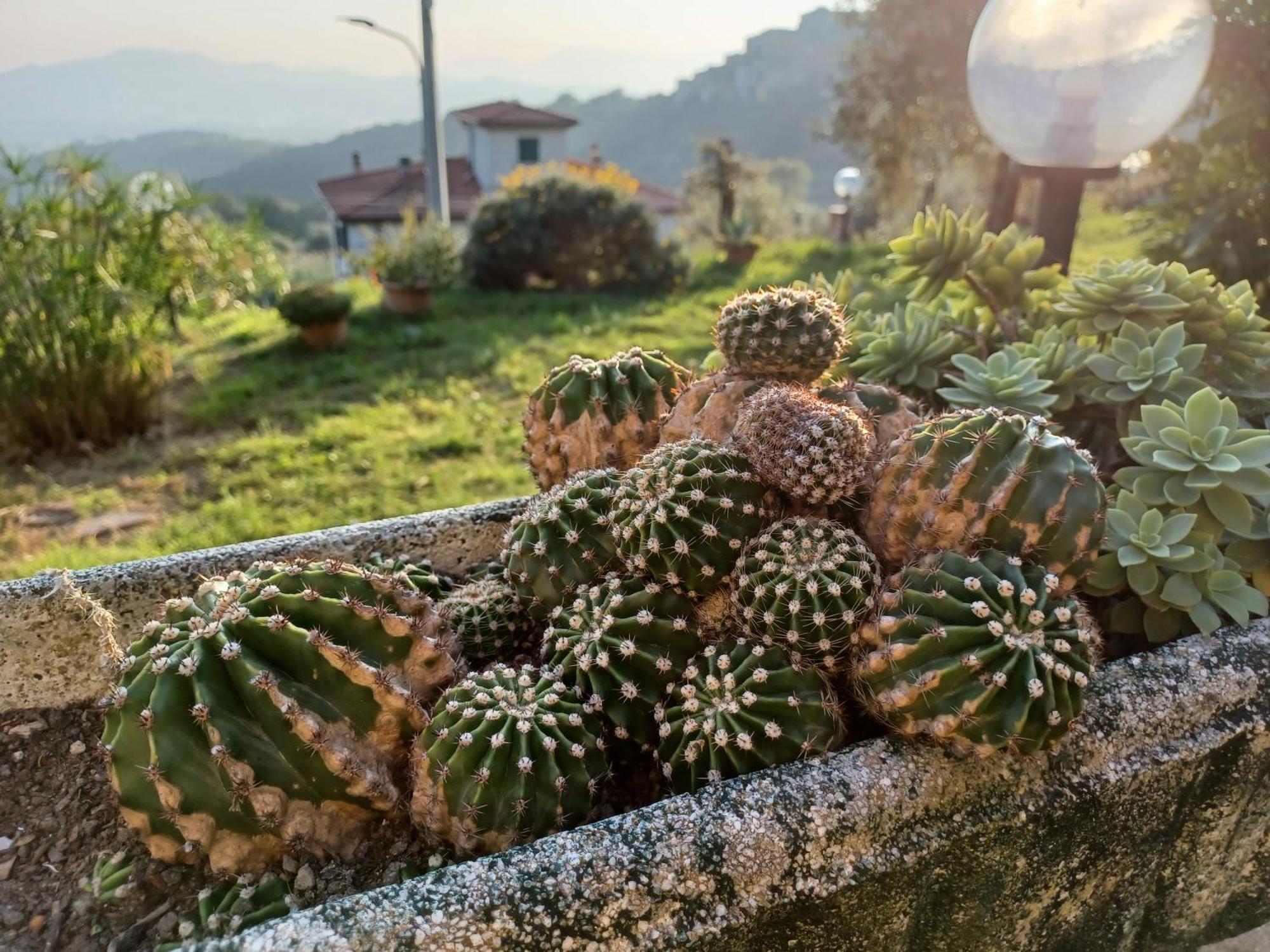 Il Fontolo Villa Ponzano Superiore ภายนอก รูปภาพ